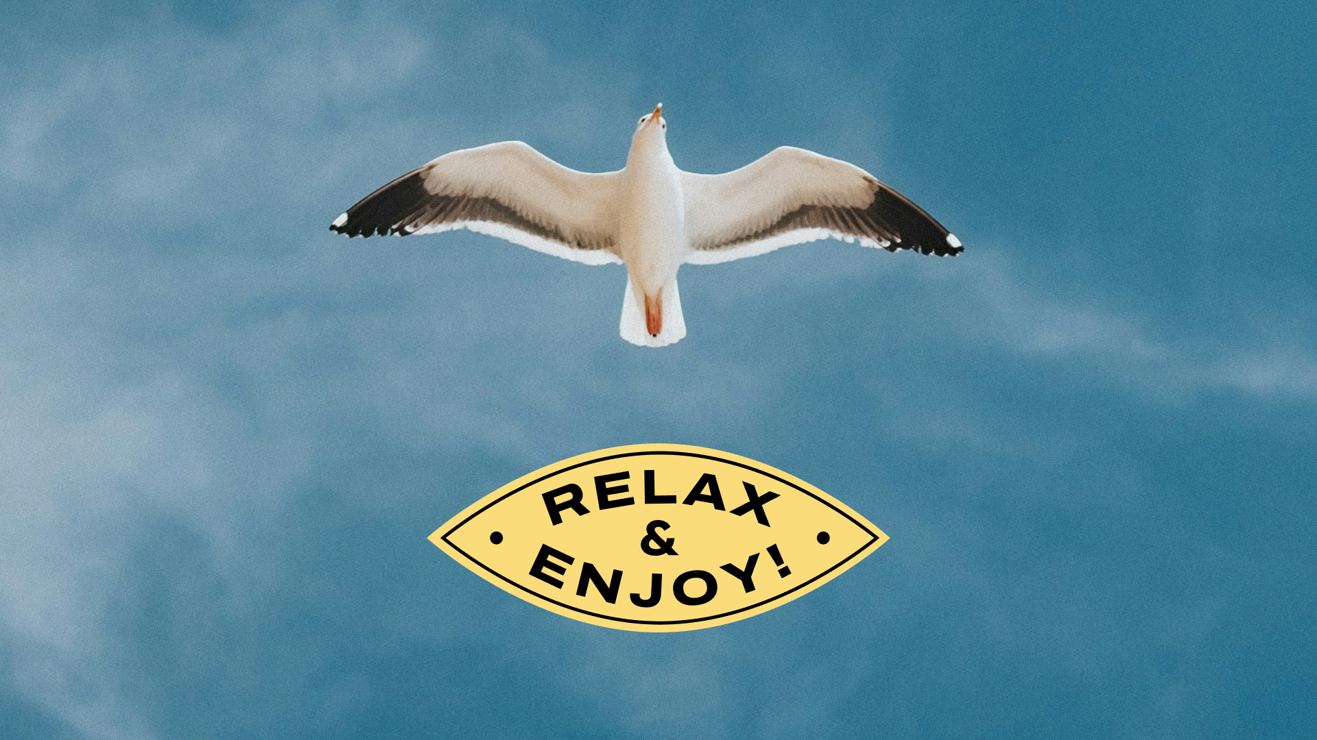 Photo #1: Persha pryvatna brovarnya — Label Design - Logo design and brand creation at Rocketmen Agency branding studio