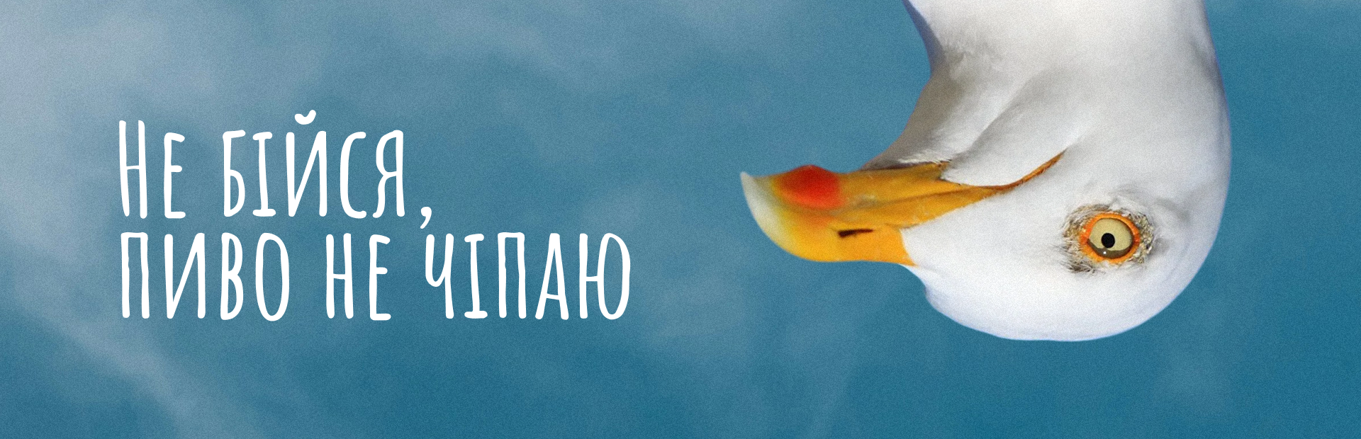 Photo #8: Persha pryvatna brovarnya — Label Design - Logo design and brand creation at Rocketmen Agency branding studio