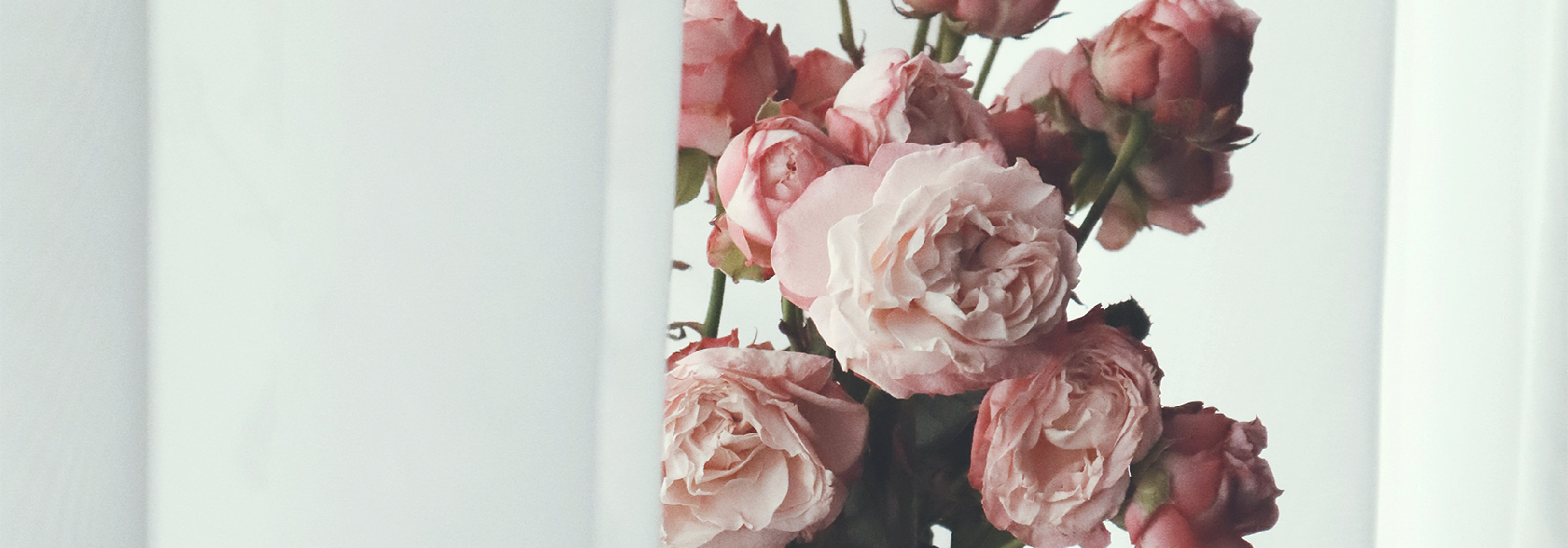 Photo #1: Naome - a manufacturer of natural home textiles in the USA - Logo design and brand creation at Rocketmen Agency branding studio