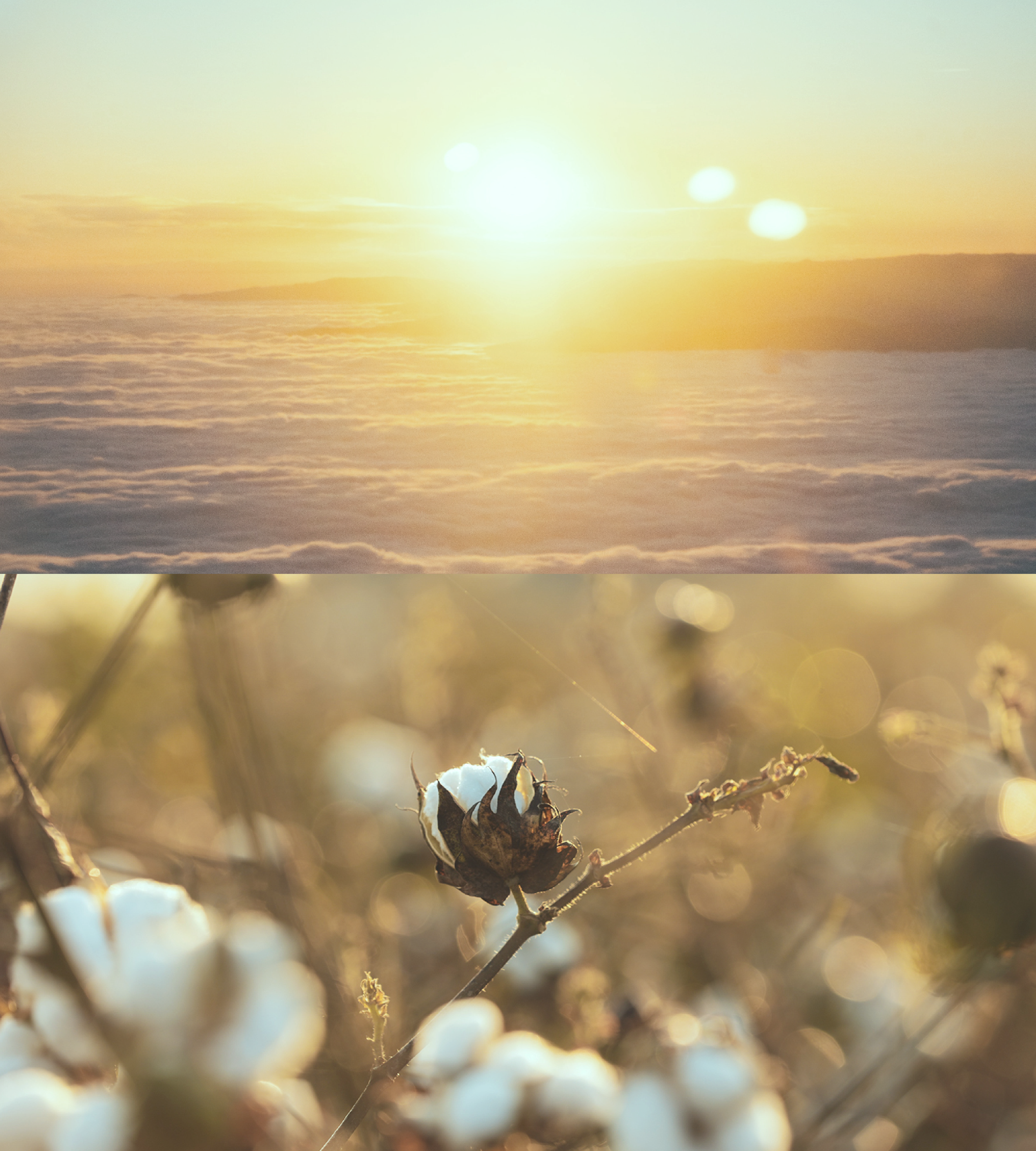 Photo #3: Naome - a manufacturer of natural home textiles in the USA - Logo design and brand creation at Rocketmen Agency branding studio