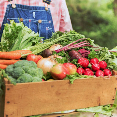 Обзор эко-трендов дизайна упаковок и рынка органических продуктов в Украине
