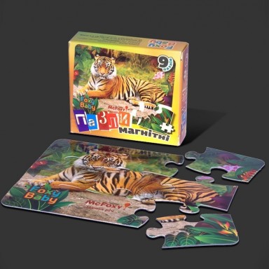 Робота Rocketmen №5