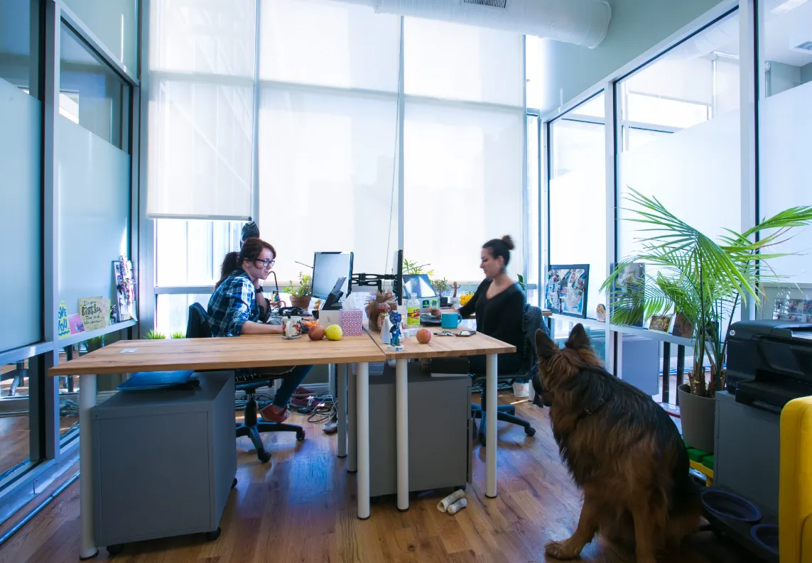 История взлета и падения компании WeWork - Фото №1