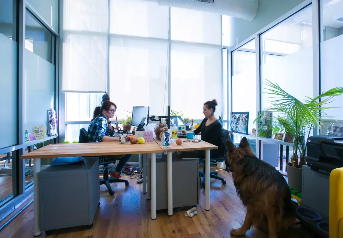 Історія злету та падіння компанії WeWork - Фото №1