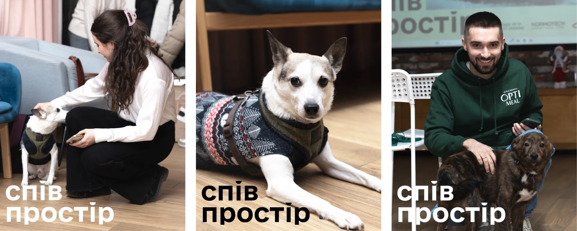 Фото №9: Сопространство - брендинг конкурса журналистских работ - Разработка логотипа и создание бренда в студии брендинга Rocketmen Agency