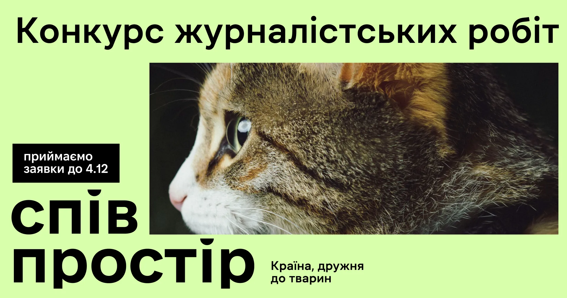 Фото №4: Сопространство - брендинг конкурса журналистских работ - Разработка логотипа и создание бренда в студии брендинга Rocketmen Agency