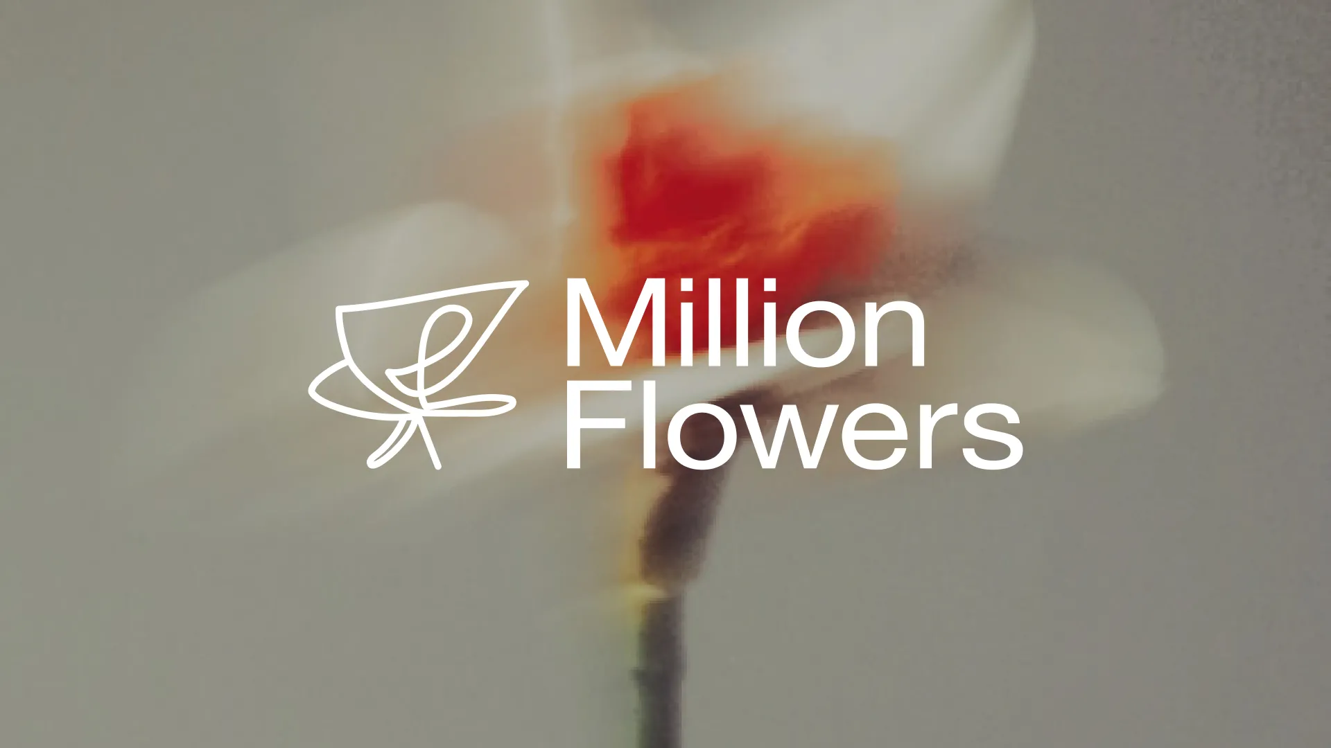 Million Flowers - ребрендинг сети цветочных магазинов
