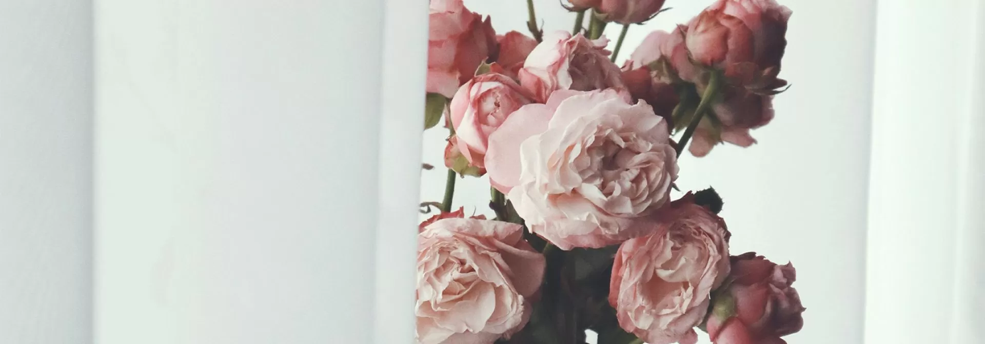 Фото №1: Naome - производитель натурального текстиля для дома в США - Разработка логотипа и создание бренда в студии брендинга Rocketmen Agency