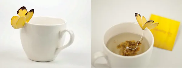 Креативна упаковка - шлях до успішного продажу - Фото №8