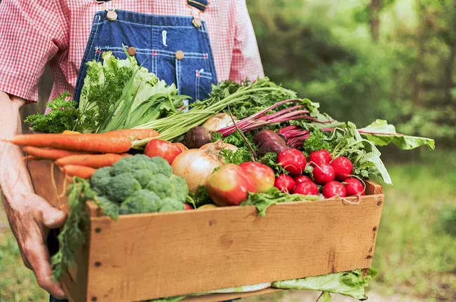 Обзор эко-трендов дизайна упаковок и рынка органических продуктов в Украине - Фото №2