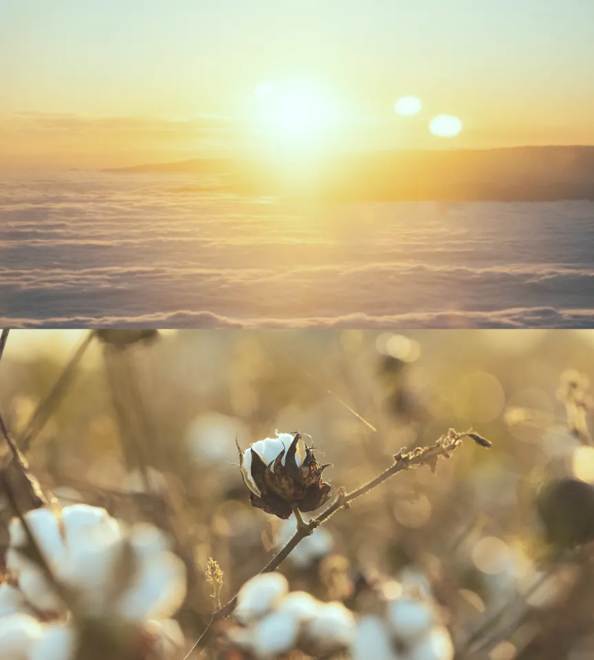 Фото №3: Naome - производитель натурального текстиля для дома в США - Разработка логотипа и создание бренда в студии брендинга Rocketmen Agency